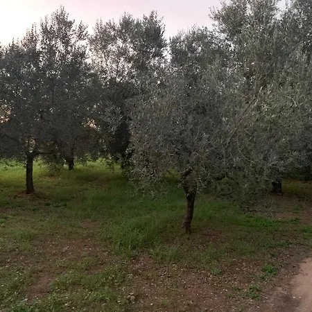 Casa nel verde Orbetello-3